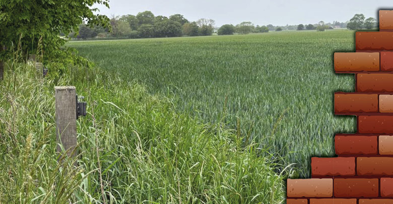 Residents Fighting to Save Our Last Piece of Green Belt